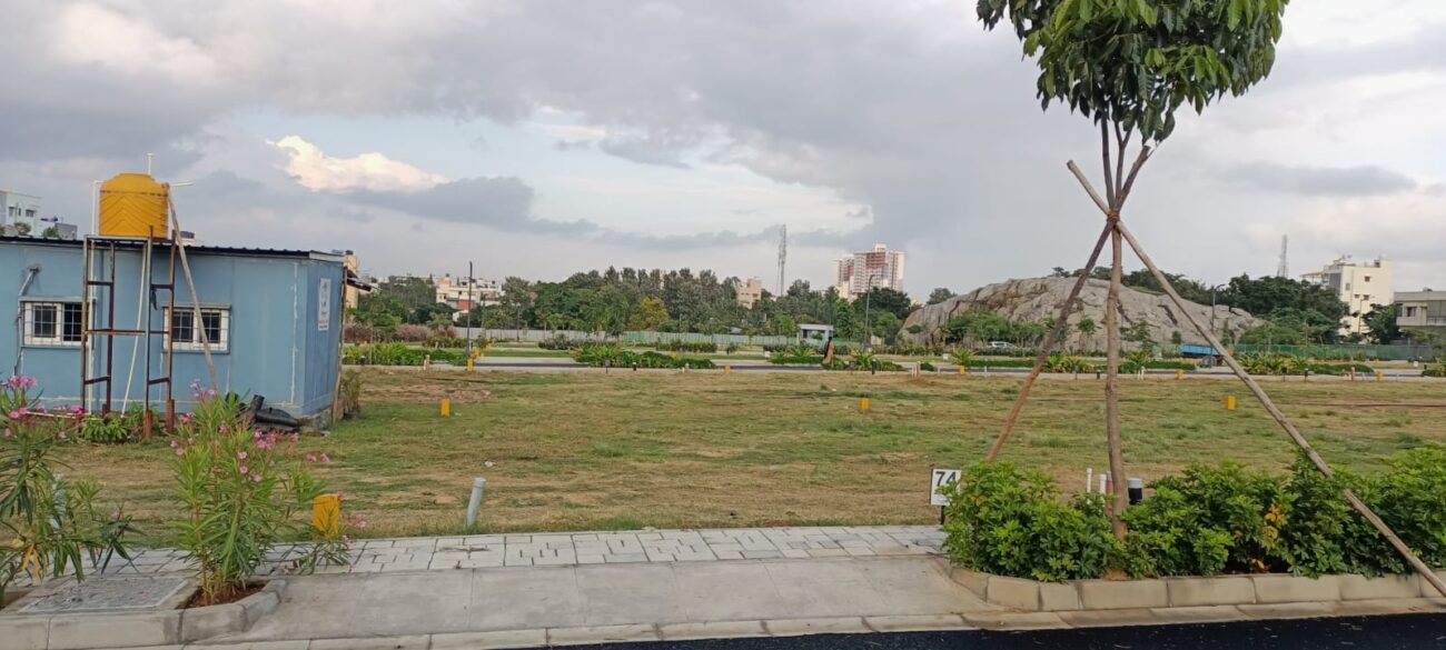 WhatsApp Image 2025-02-20 at 5.26.43 PM