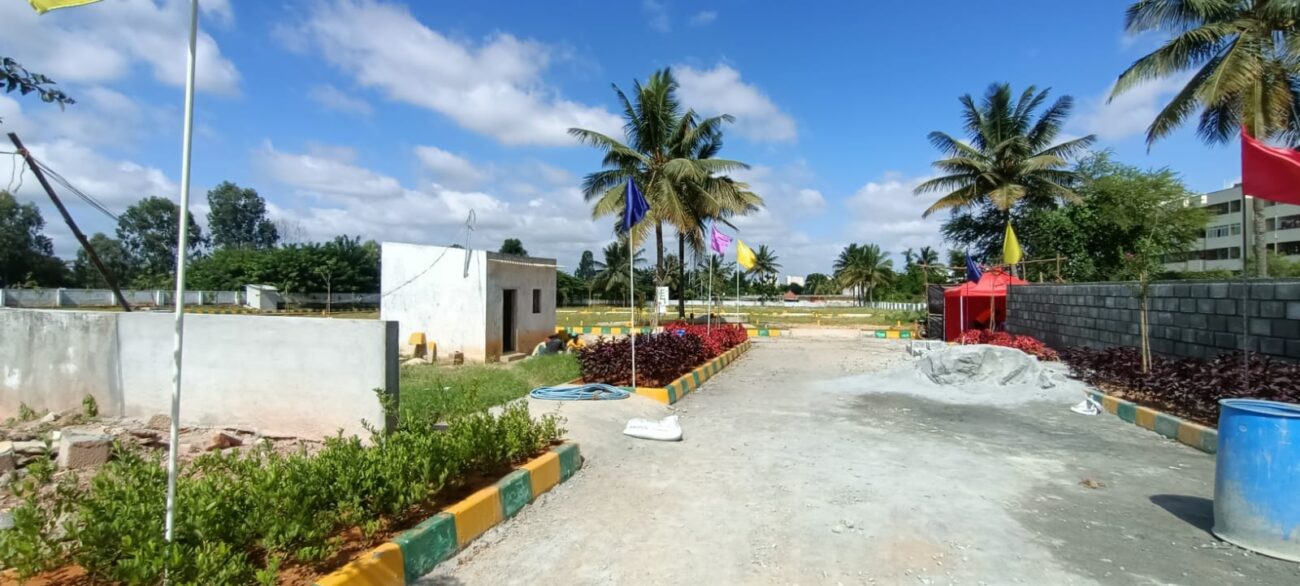 WhatsApp Image 2025-02-20 at 5.26.45 PM (1)