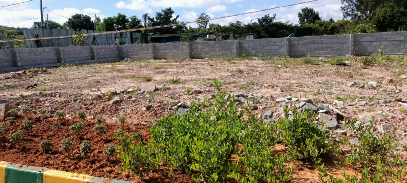 WhatsApp Image 2025-02-20 at 5.26.45 PM