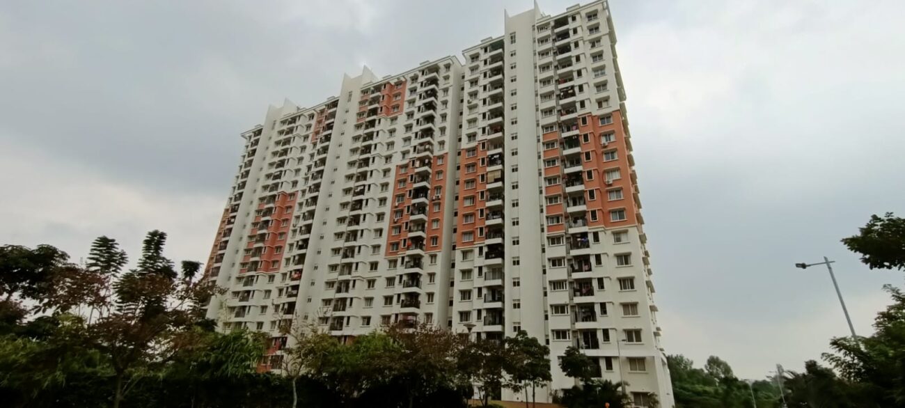 WhatsApp Image 2025-02-20 at 5.26.47 PM