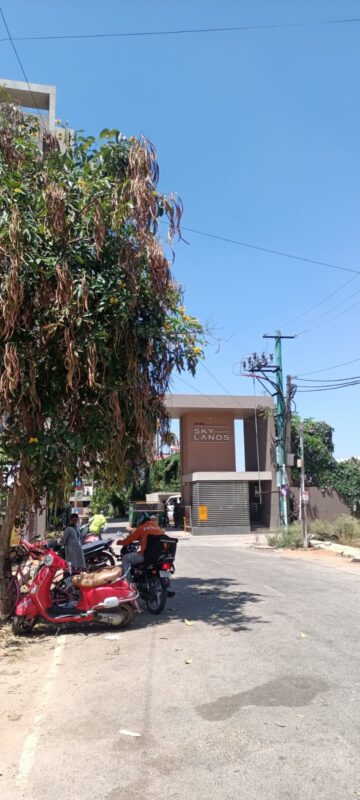 WhatsApp Image 2025-02-20 at 5.26.57 PM (1)