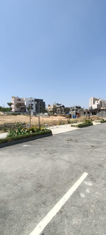 WhatsApp Image 2025-02-20 at 5.26.57 PM (2)