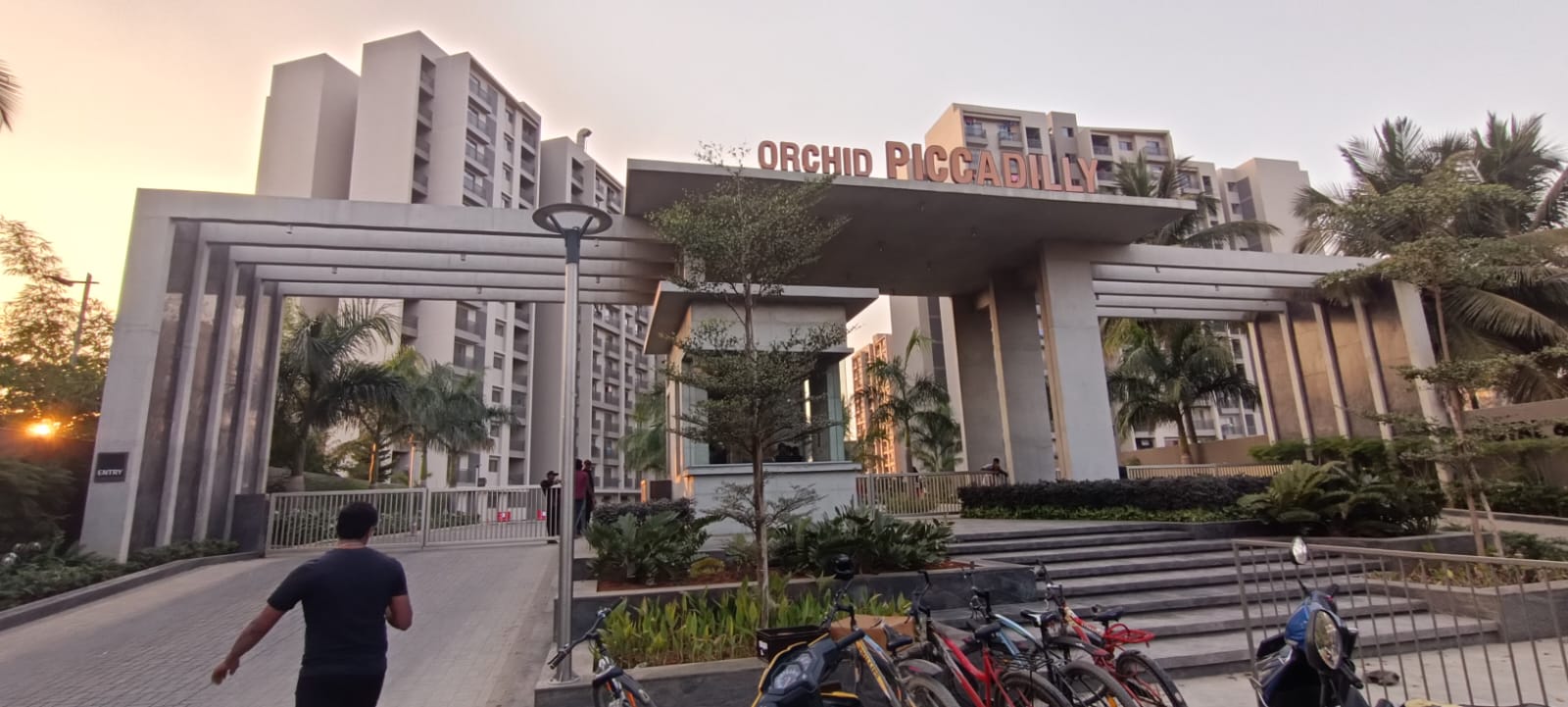 WhatsApp Image 2025-02-20 at 5.27.05 PM (3)